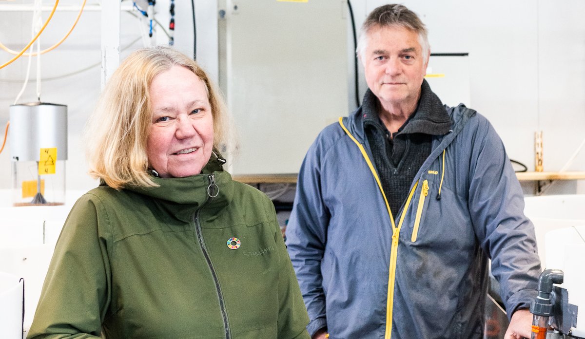 20200520 Rødspette web DSC 3311