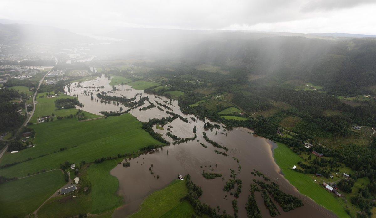 brun elv som har gått over sine bredder, oversvømte grønne jorder