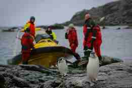 Pingviner foran mob-båt og mannskap i Sørishavet 