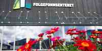 

Fotografi av Folgefonnsenteret og blomster