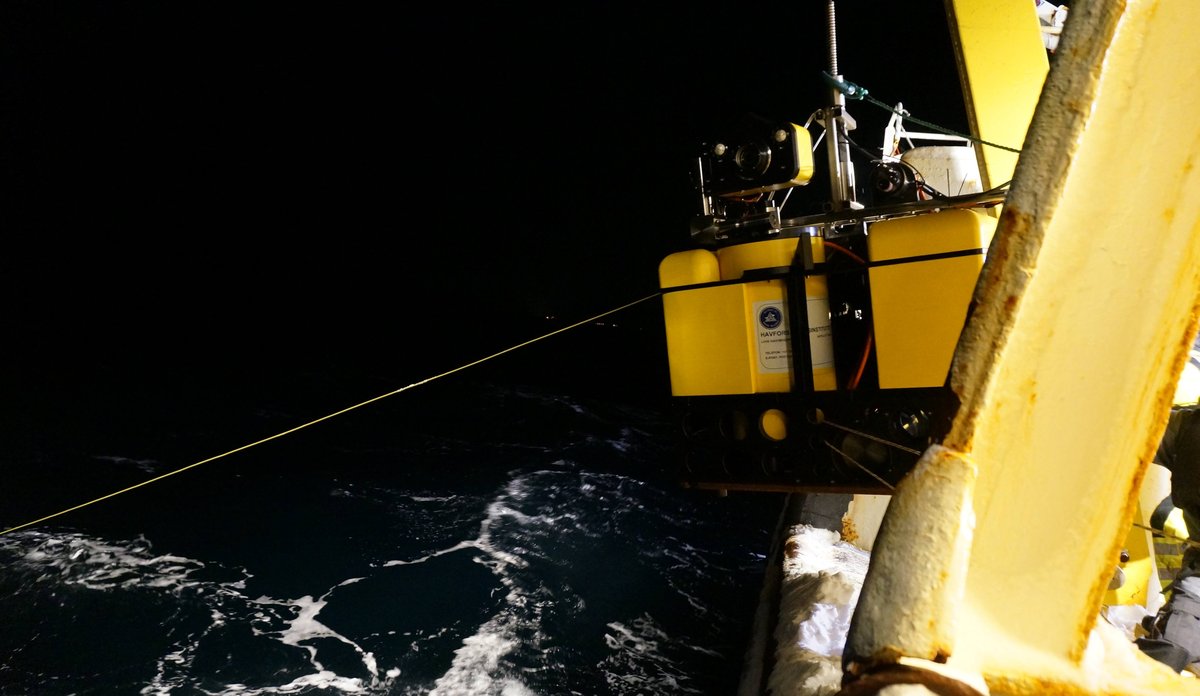 50487770 371432476975687 3695992844821987328 n