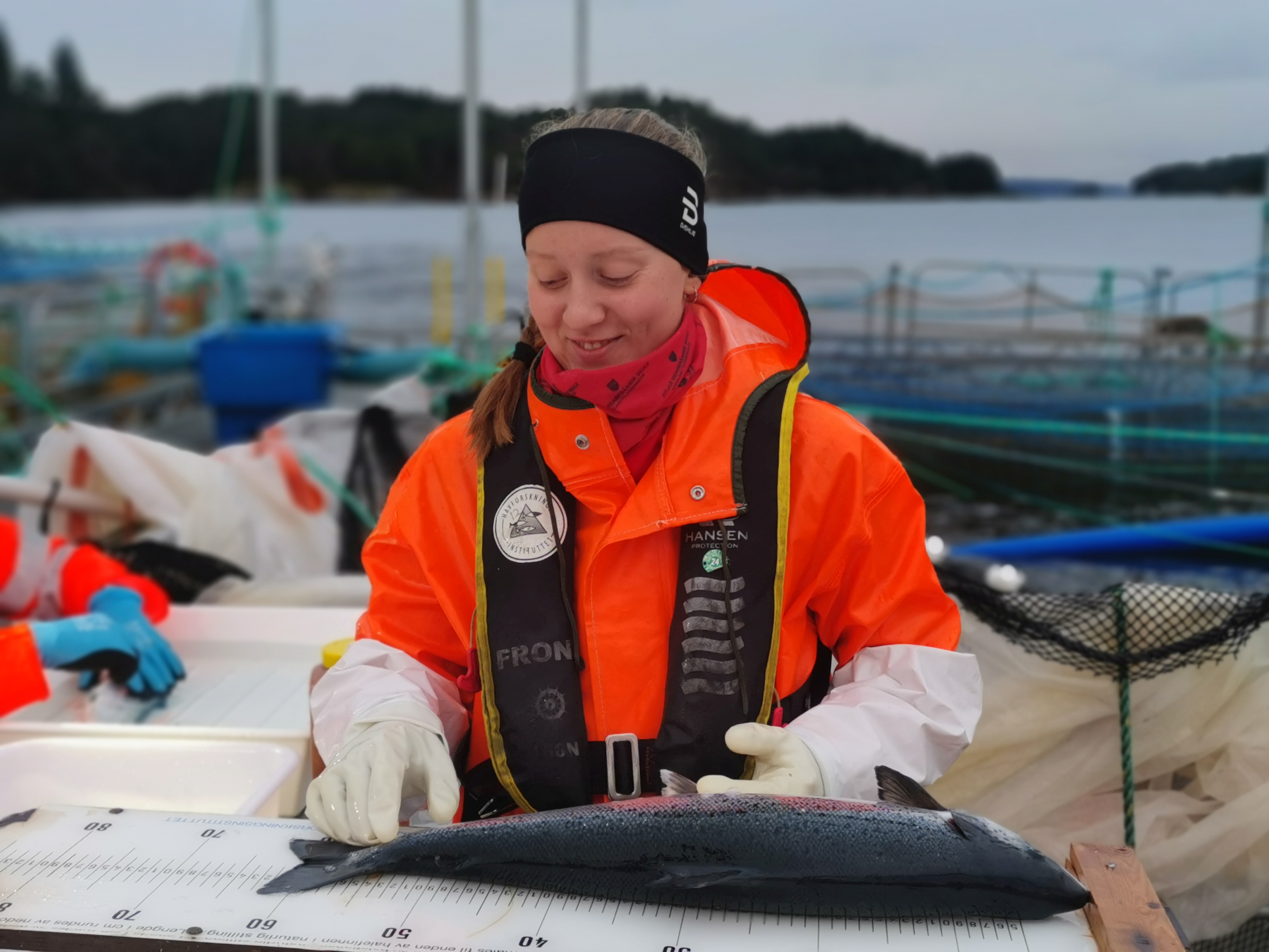 Avdelingsingeniør Adele Dahlgren måler og veier fisk før lusetelling