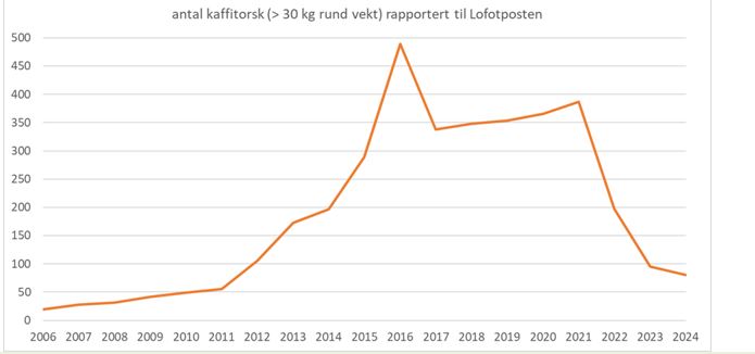 Graf som viser antall kaffetorsk 2006-2024 masteroppgaveforslag 2024