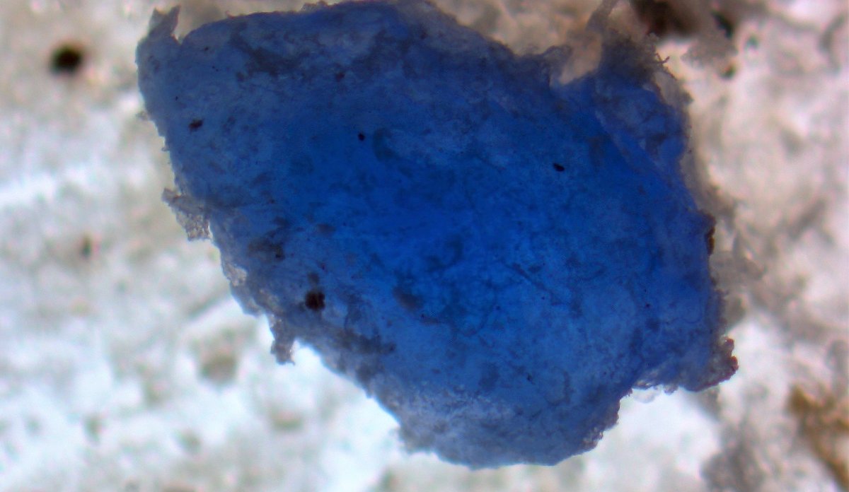 Blått fragment Red