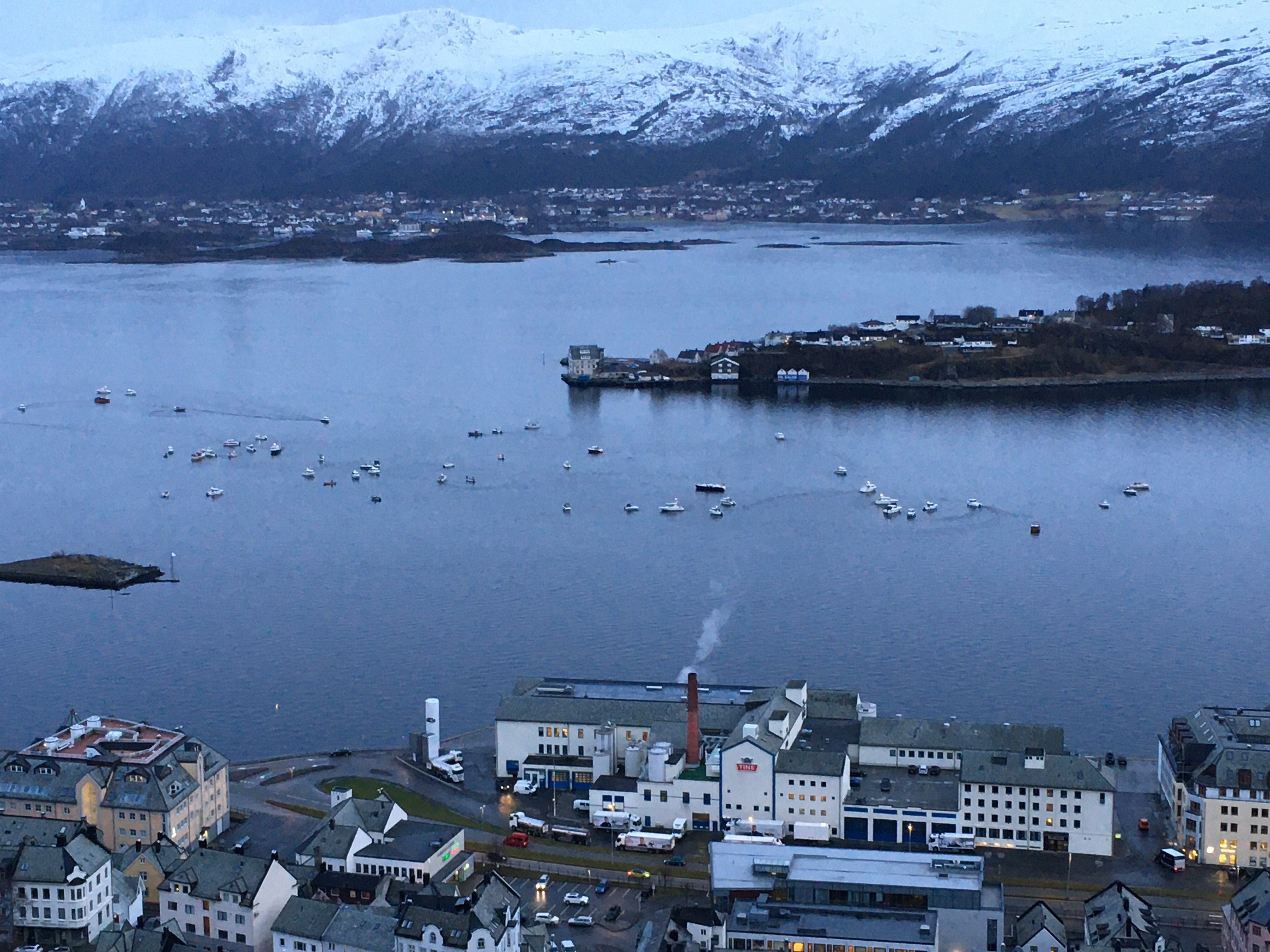 Bilete av Borgundfjordfisket frå 2020.