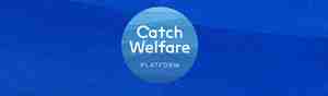 Catch welfare platform logo