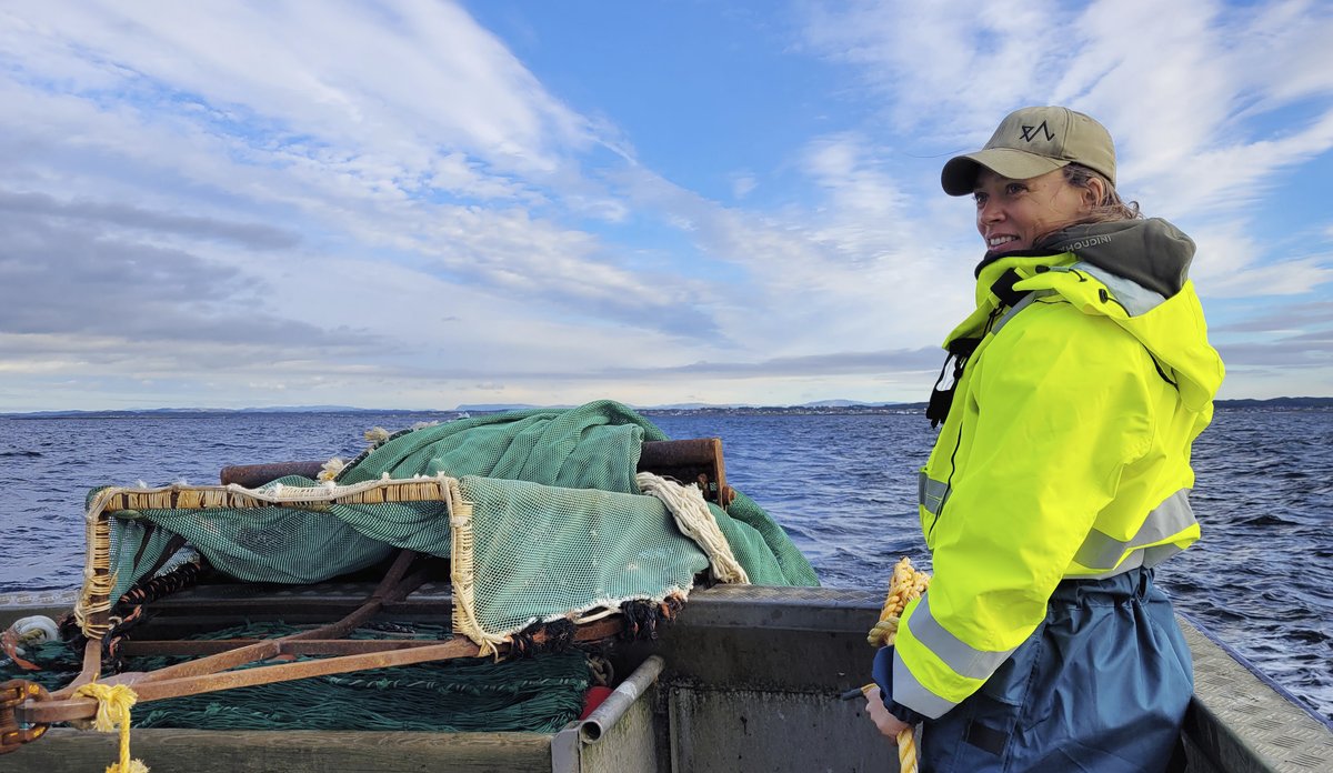 
Forsker på båt som fisker etter tobis