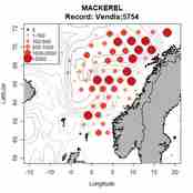 Kart over norskekysten som viser fangstene av makrell ved hjelp av røde prikker. Kartet viser at mest makrell har vært fanget relativt langt øst i Norskehavet, og mindre langs kysten.