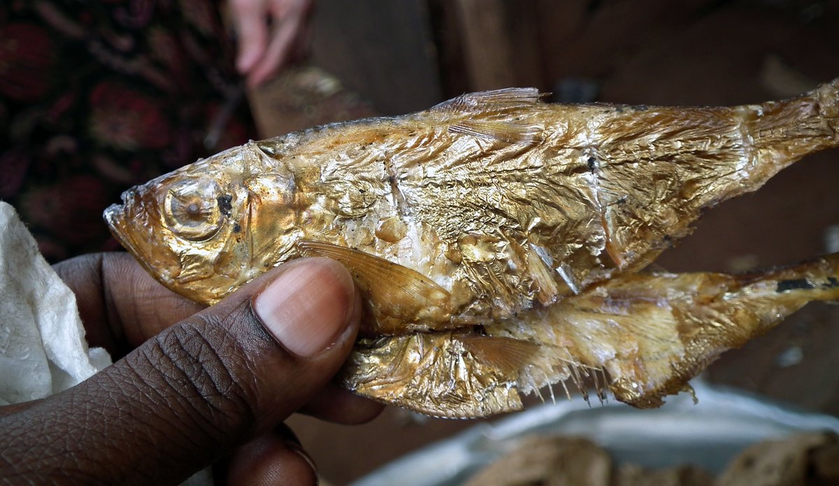 
Fisk på marked i Ghana DSCF