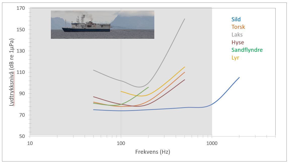 Graf som viser fiskenes hørsel. Alle grafene går i en bue nedover og opp desto høyere frekvens i Herz.