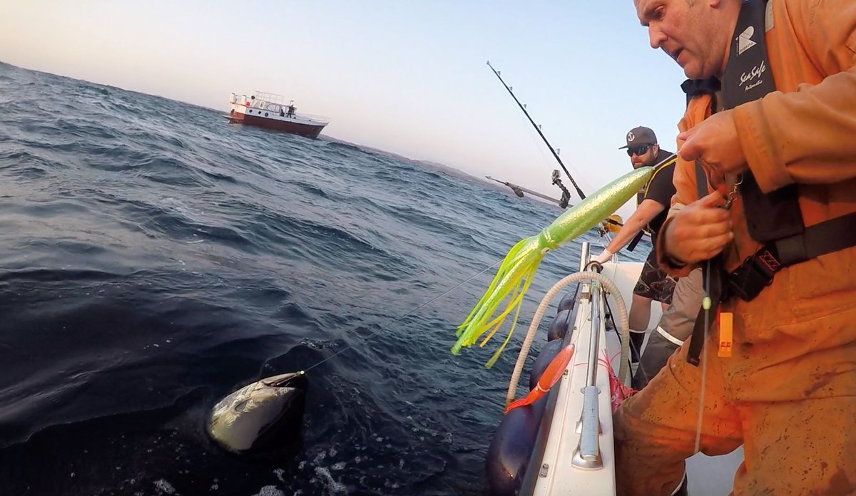 Foto SeanTracey Havforskningsinstituttet HaraldTvedt med storje2