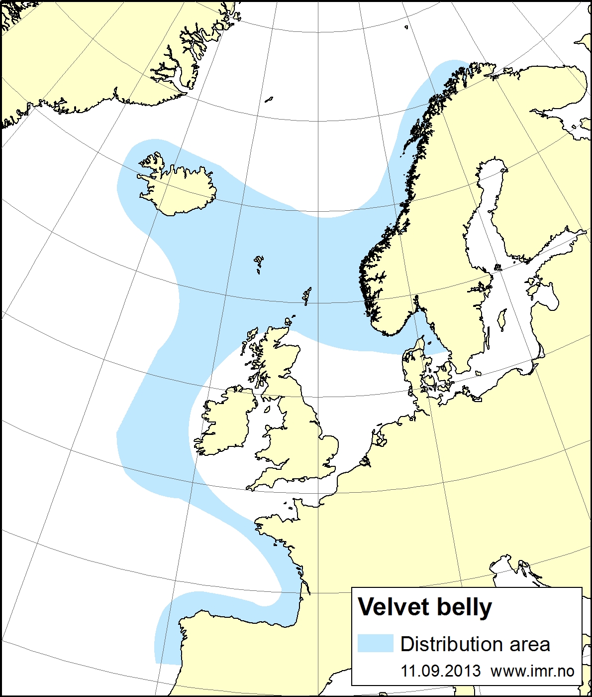 distribution map - velvet-belly lanternshark