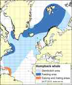 distribution map humpback whale