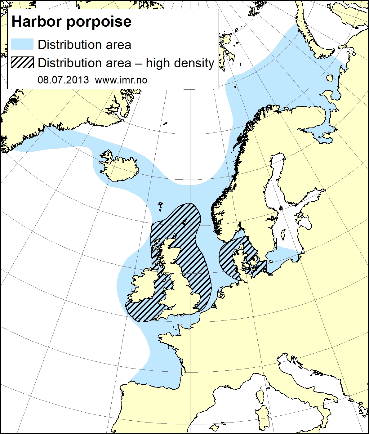 distribution map porpoise