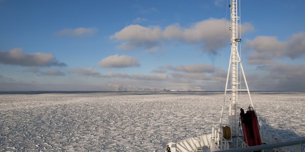

The bow of a ship in the foreground and white sea ice in the background.
