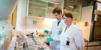 

Hilde Elise og Andrey i labfrakk med prøver av laks inne på labben