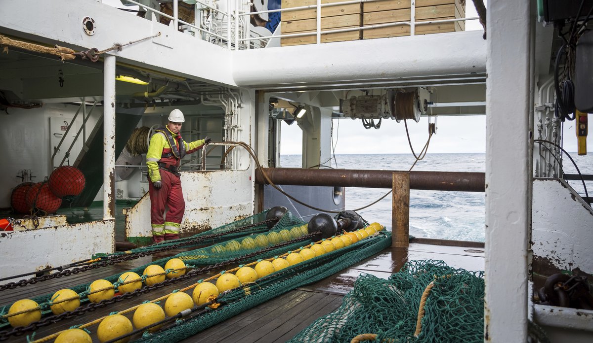 Mann med hvit hjelm og kjeledress på et skipsdekk, mens en lang og grønn trål med gule kuler er på vei opp fra havet og om bord i skipet.