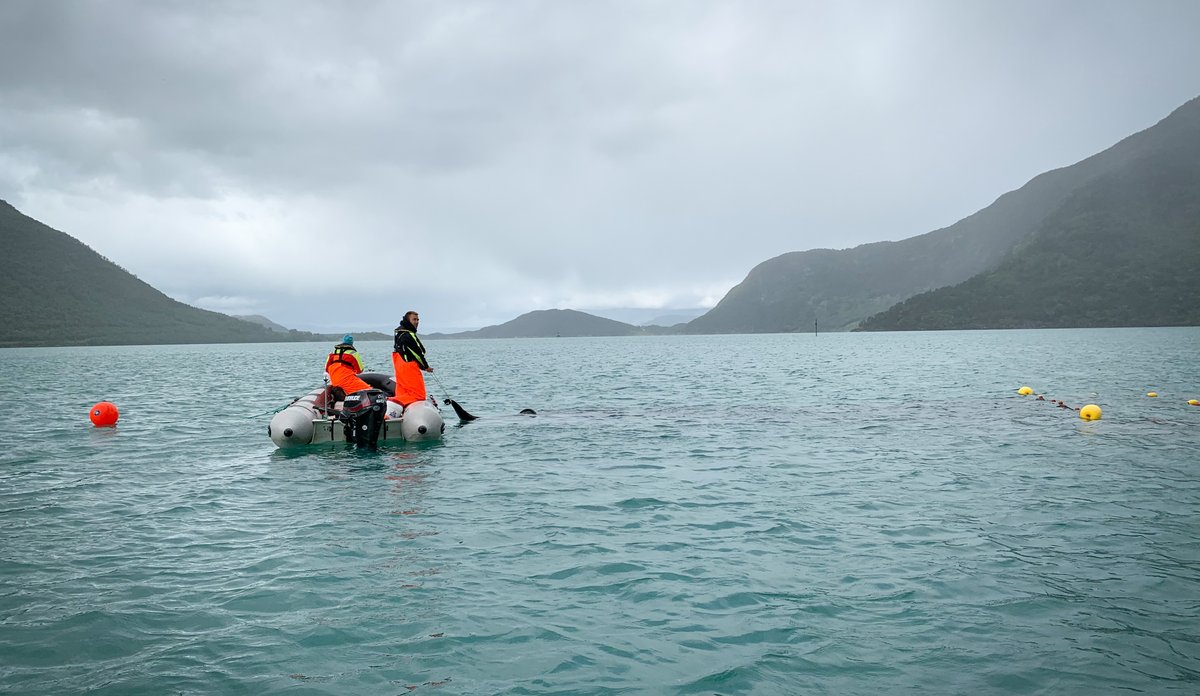 to personer setter garn i fjorden fra liten gummibåt