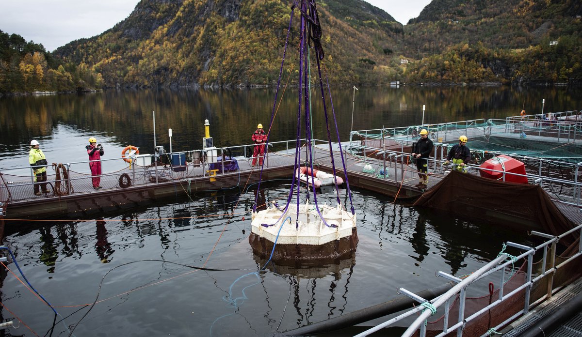 
En kuppelmerd blir senket ned under vannoverflaten