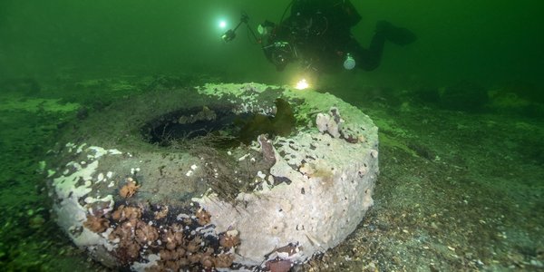 

Stort dekk på havbunnen dekket av hvitt havnespy og med dykker i bakgrunnen