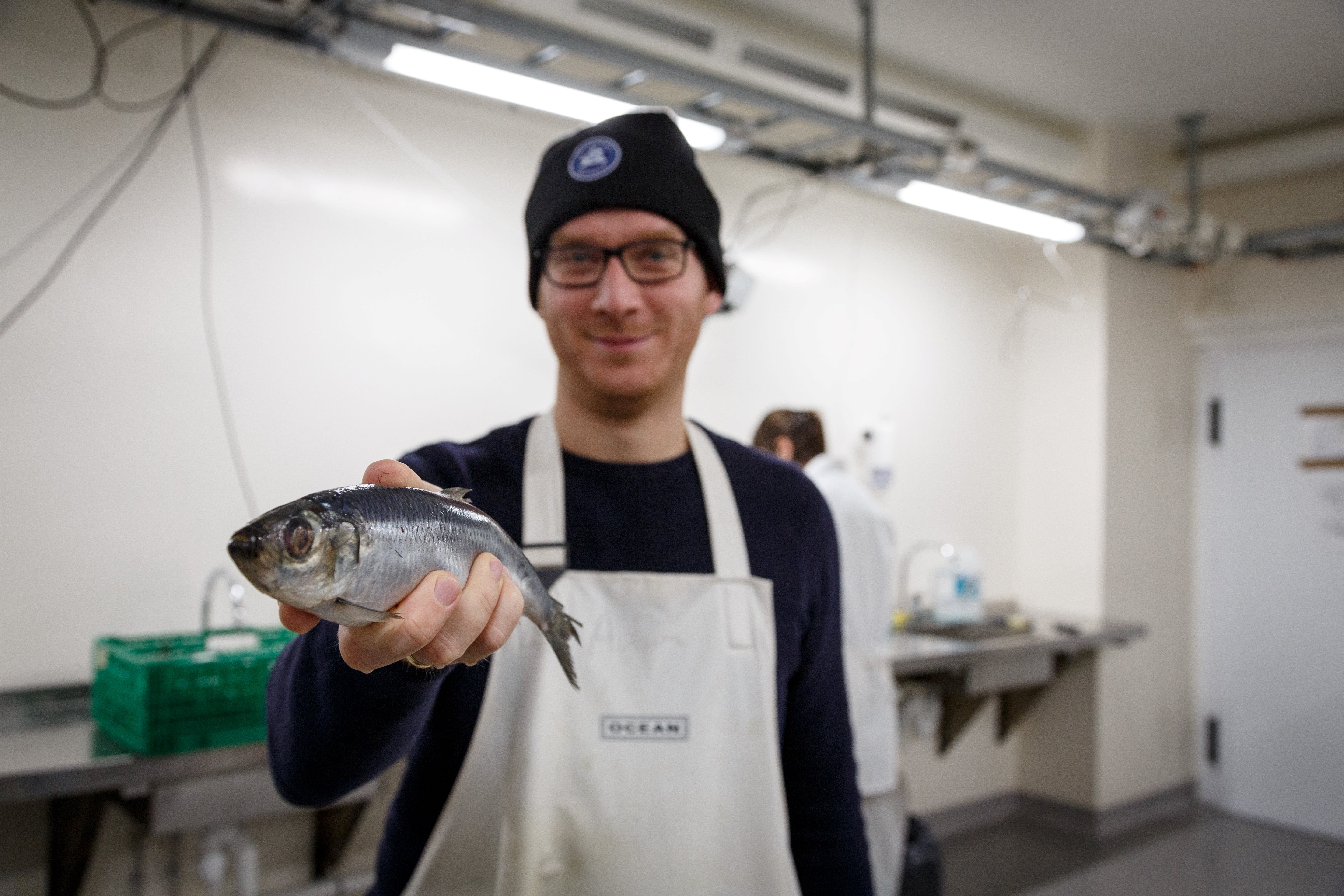 Mann med lue og hvitt forkle holder en sølvgrå fisk foran kameraet.