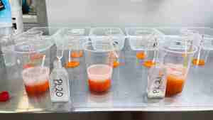 foto av rogn melke i glass på et bord i lab