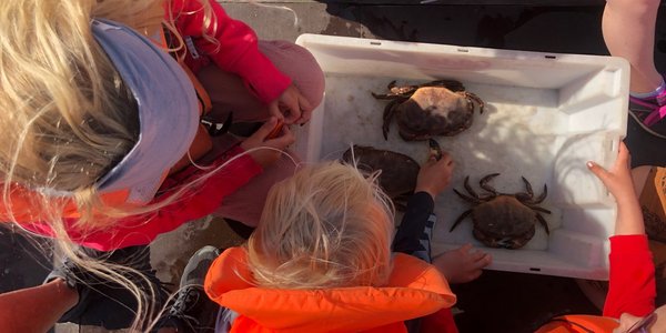 

Småbarn iført redningsvest og voksen kvinne fotografert ovenfra og ned over trau med krabber ombord i båt. 