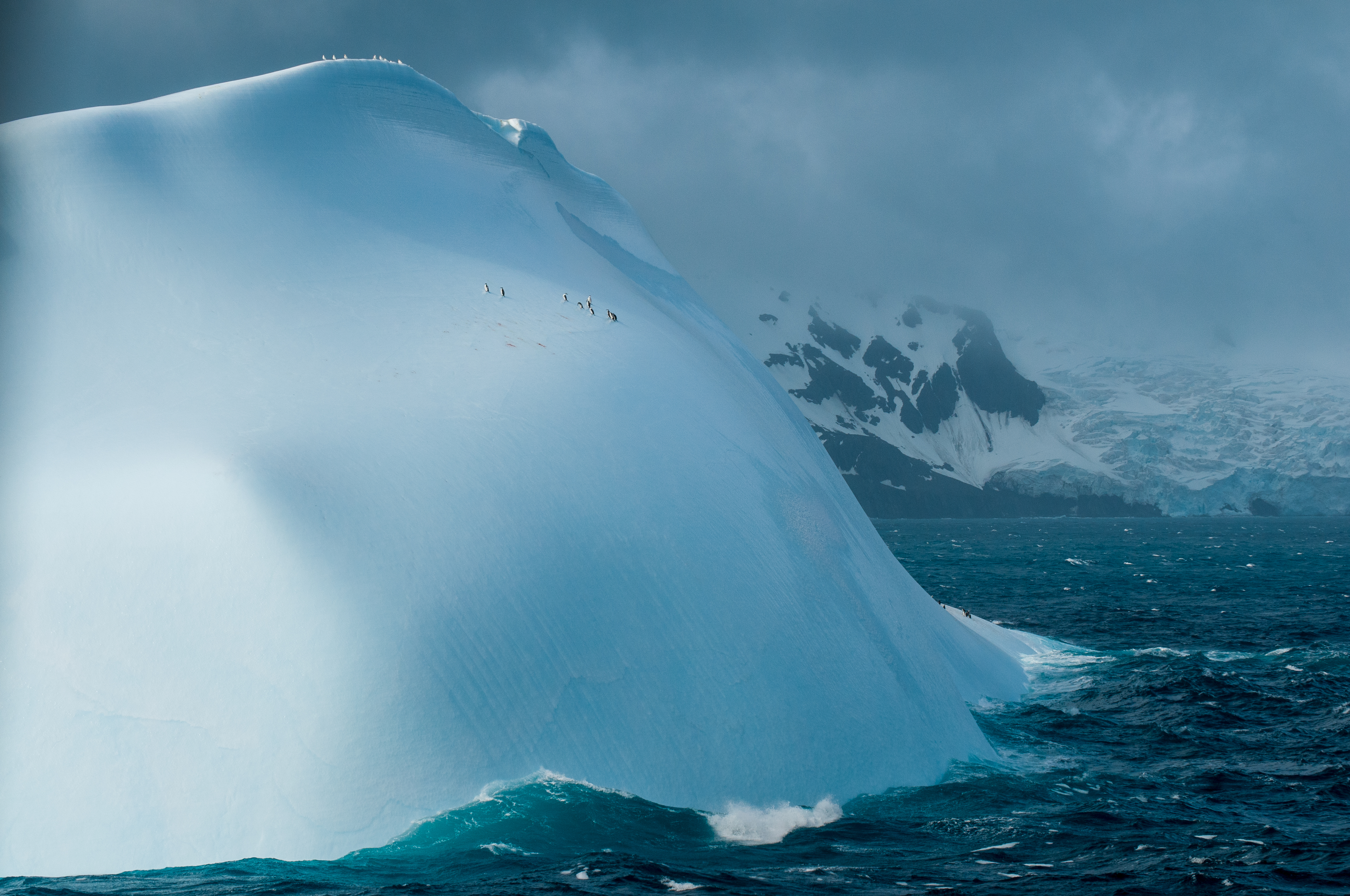 isfjell i blått hav med små pingviner på 