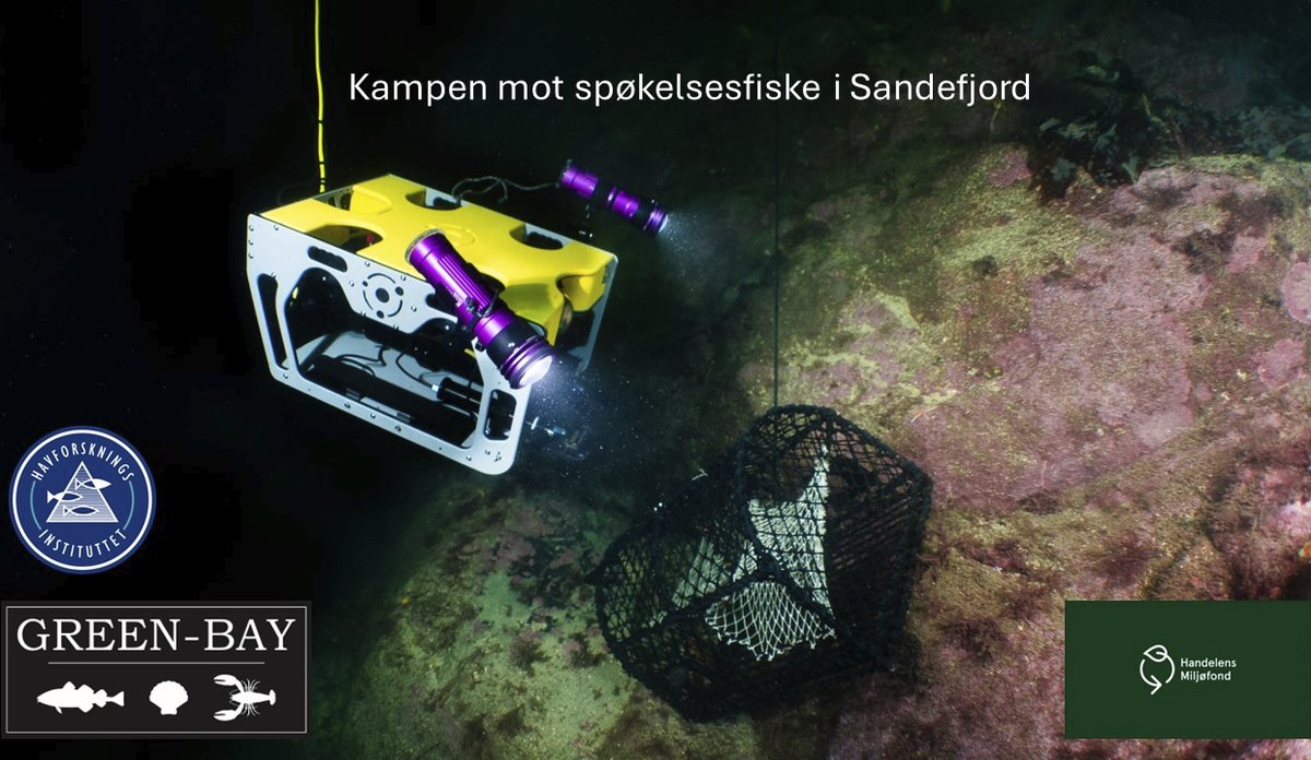 Kampen mot spøkelsesfiske