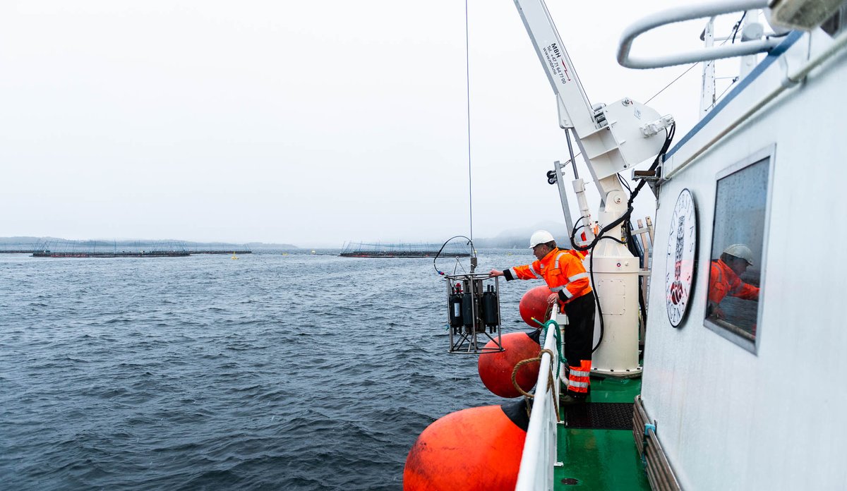 Foto av mann i båt. Utstyr for å hente vannprøver heises ombord. I bakgrunnen et oppdrettsanlegg.