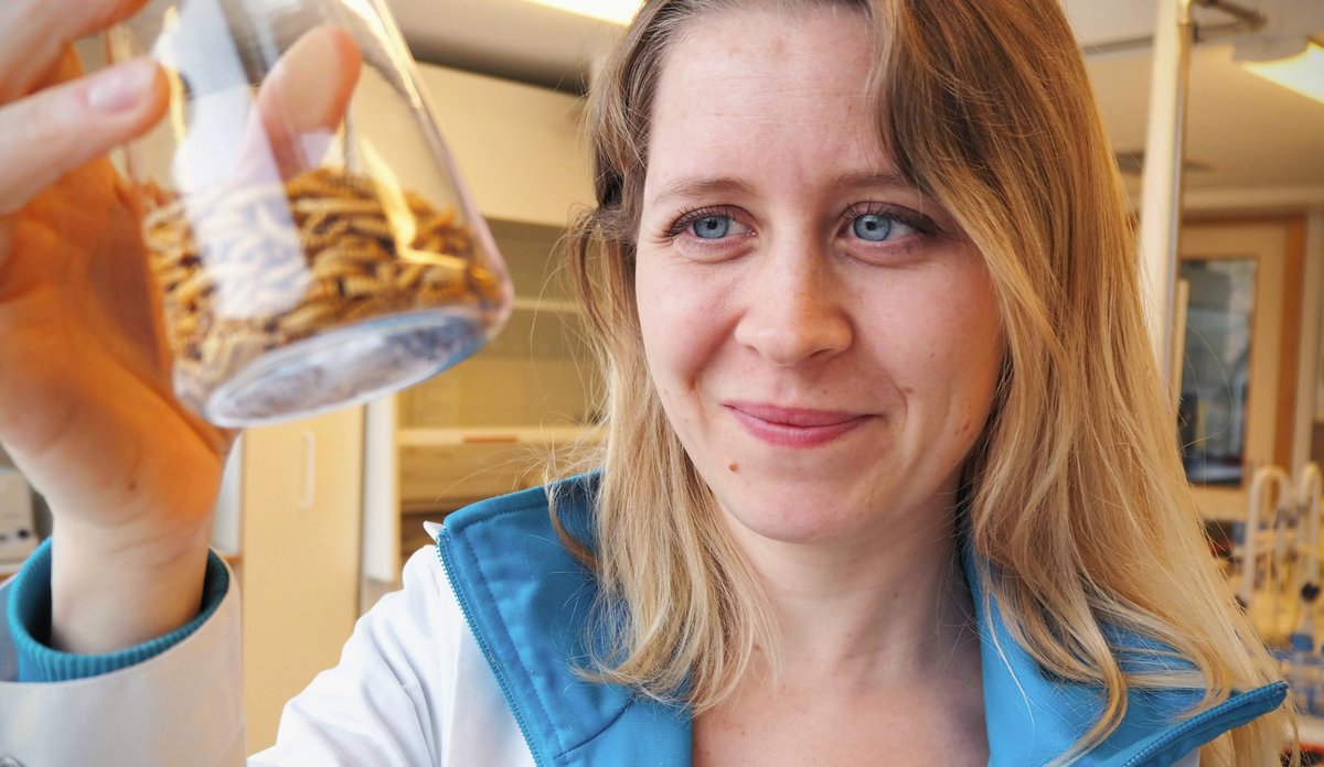 foto av kvinne som ser inn i glass med larver