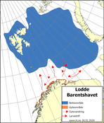 Utbredelseskart for lodde i Barentshavet