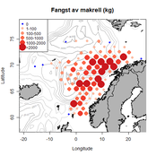 Et kart over norskekysten som ved hjelp av røde prikker vise fangsten av makrell.