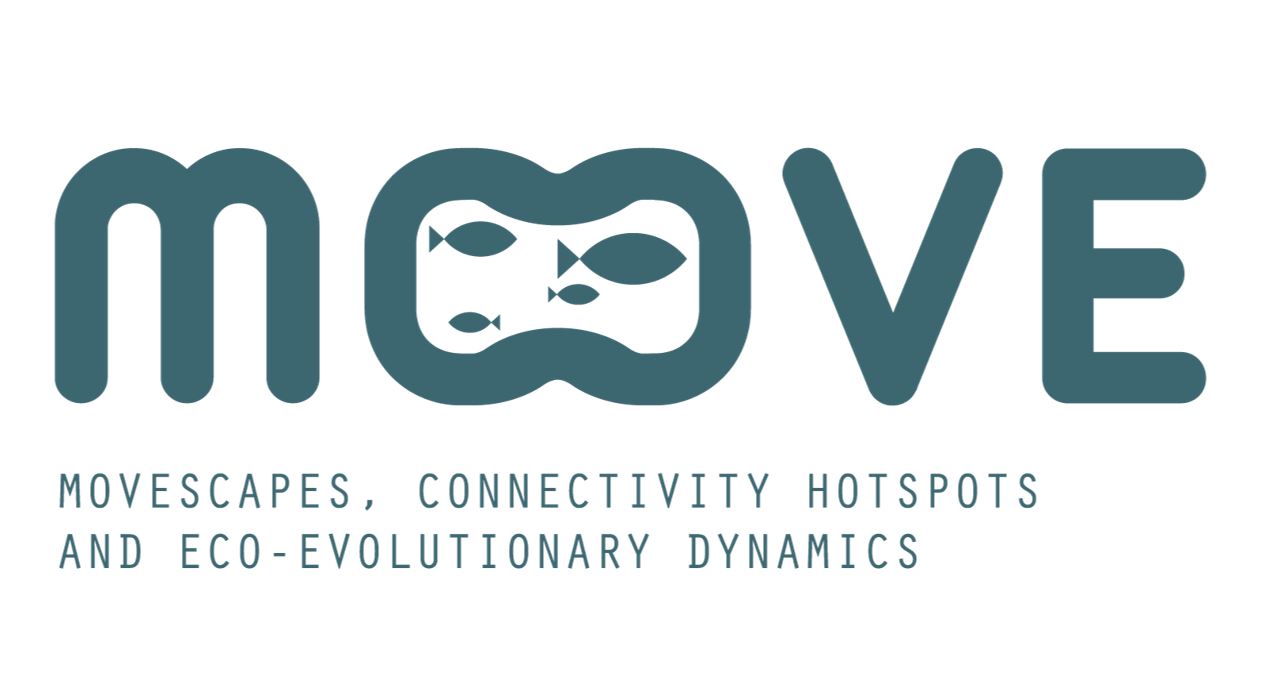 MOVE logo