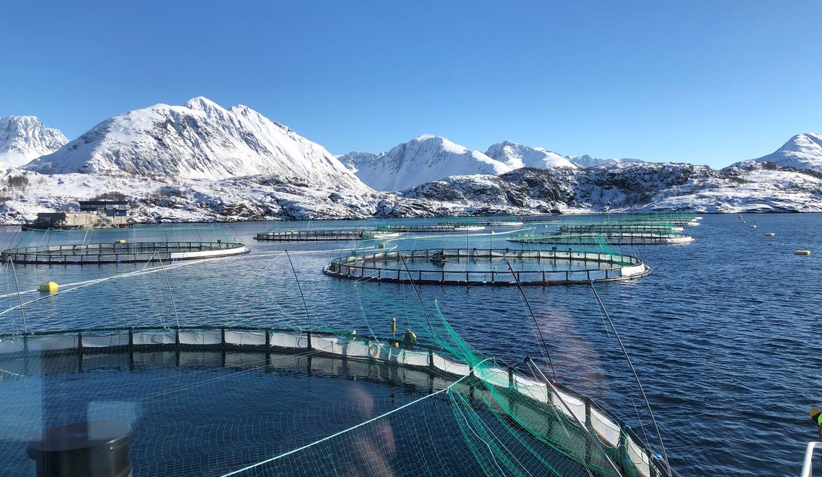 
Oppdrettsanlegg i Nord-Norge med snødekte fjell i bakgrunnen