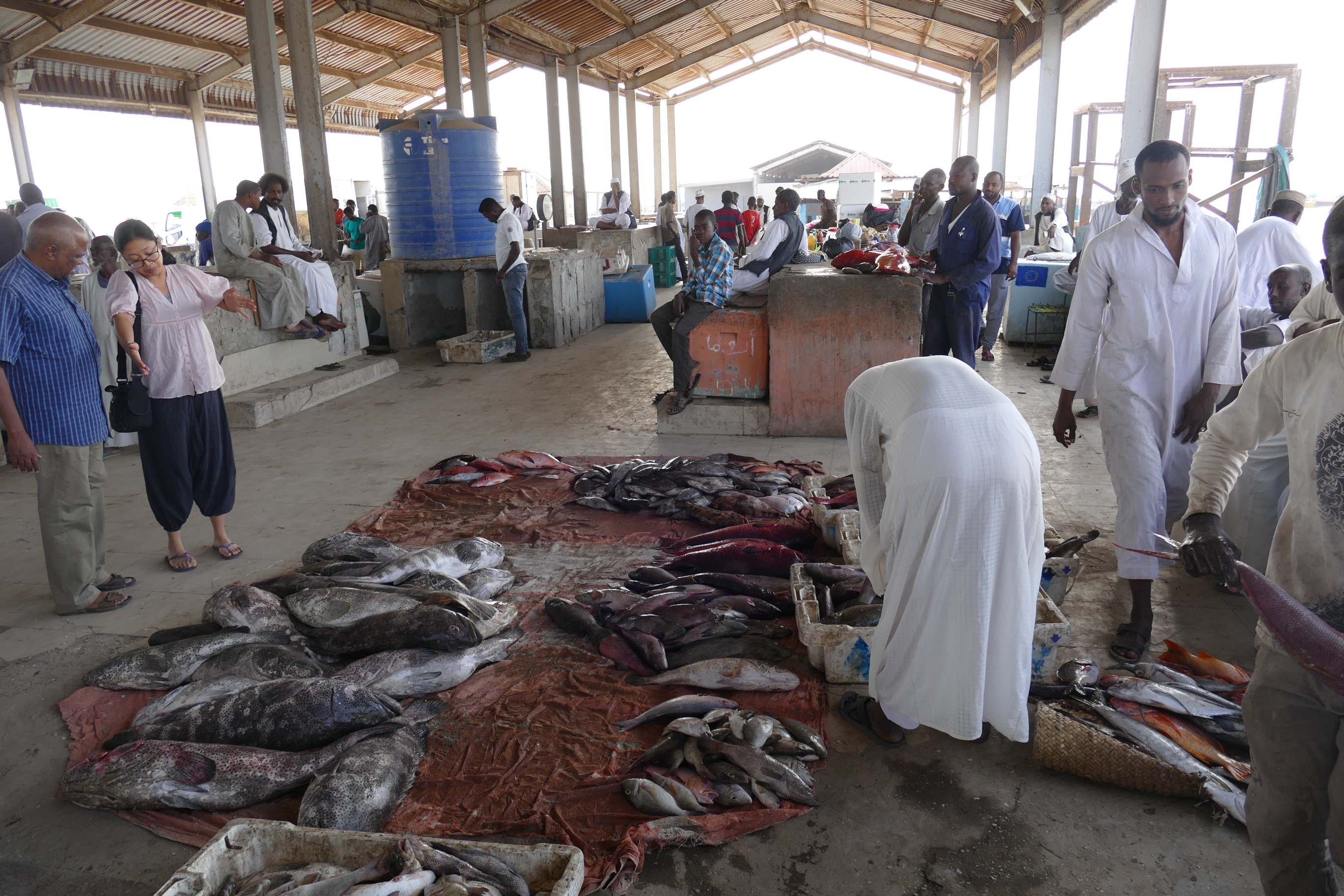 Havabbor på gulvet på fiskemarkedet i Port Sudan. 