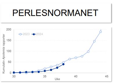 Illustrasjon av perlesnormanetvarsling 