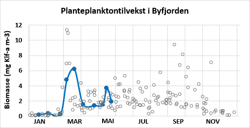 Figur som viser planteplanktontilvekst i byfjorden i Bergen 27. mai
