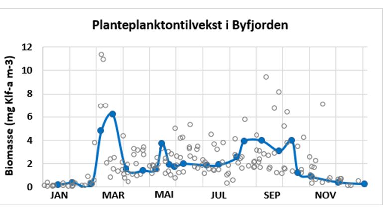 Figur som viser planteplanktontilvekst i byfjorden 2024