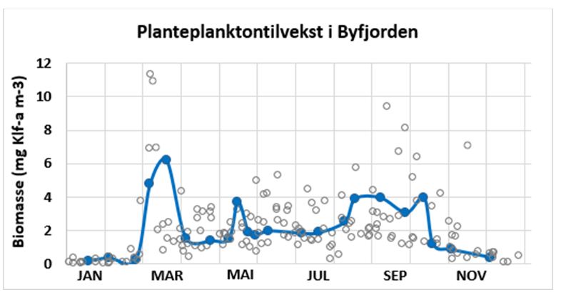 Graf som viser planteplanktontilvekst byfjorden i Bergen 2024