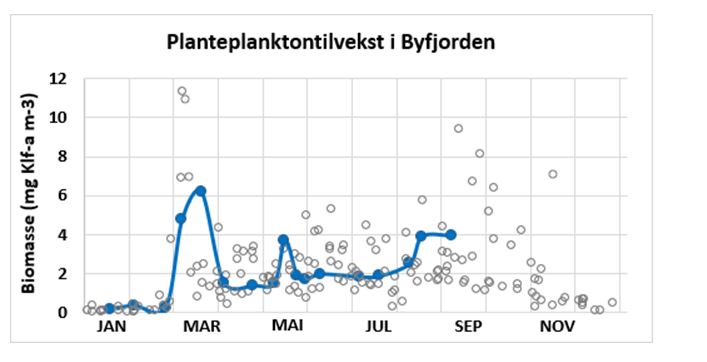 Planteplanktontilvekst byfjorden sept 2024