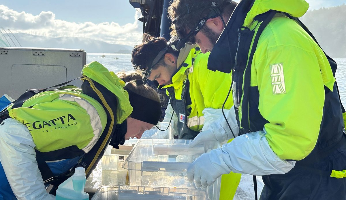 
Utendørs, en kran i bakgrunnen. Blå himmel, sjø og fjell. På en arbeidsbenk mellom tre personer står blanke bokser med vann. Personene ser ned i disse.