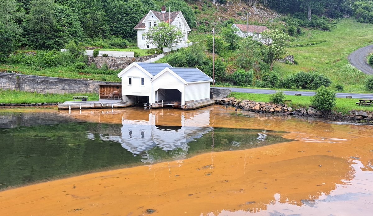 en våg med hvit naust og skittenbrunt sjøvann