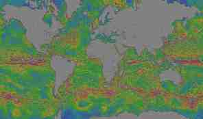 Kart som viser hvordan havstrømmene beveger seg på kloden