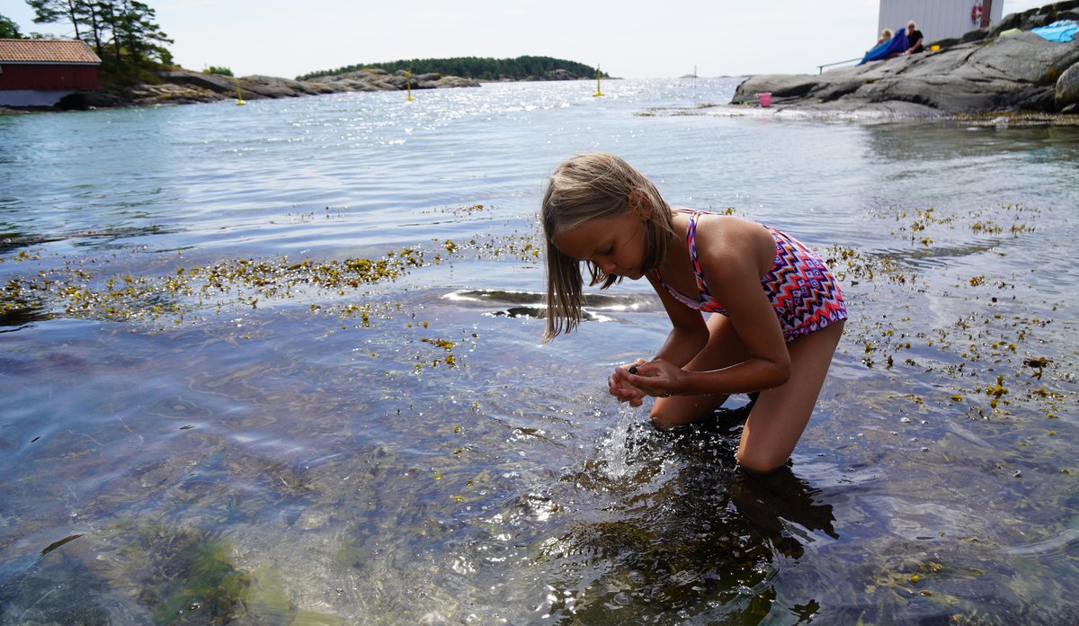 
Syv-åtte år gammel jente i rosa-lilla-spraglet badedrakt står på kne i fjæra og studerer livet i havet.