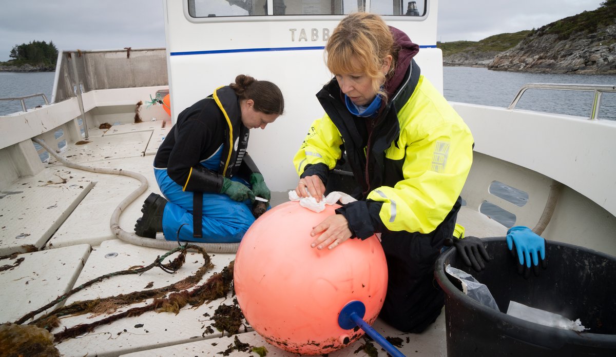 Kate og Lise reinskar utstyr i båt på fjorden.