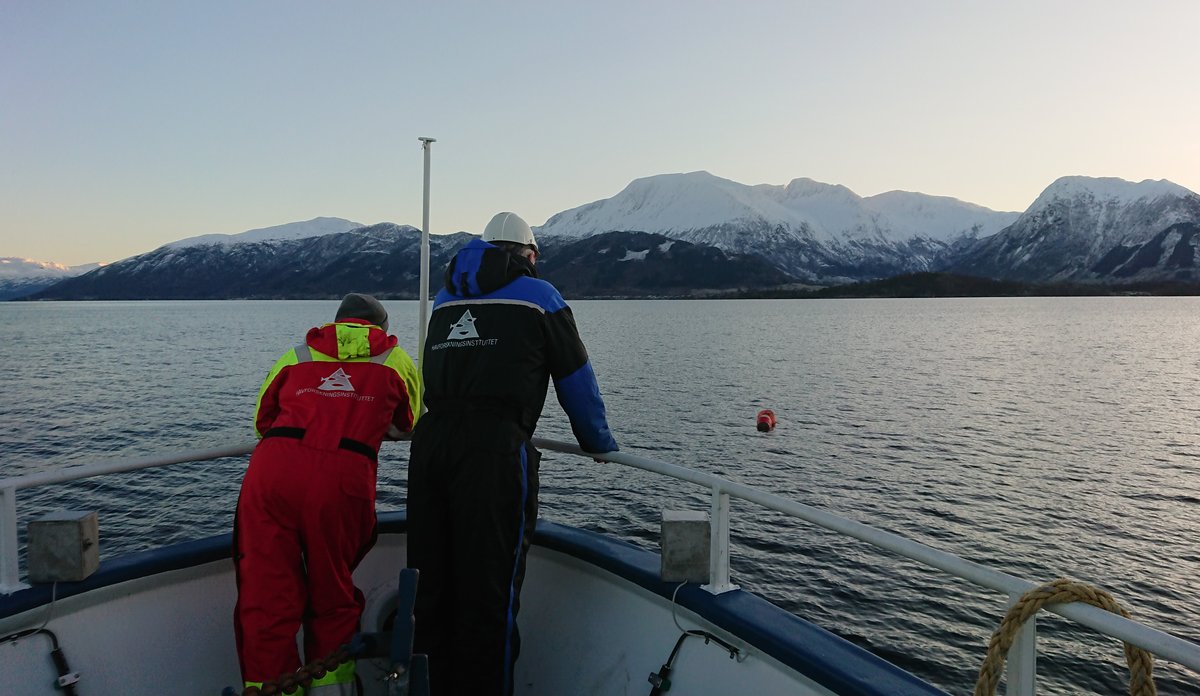 brattstrom hardangerfjorden vinter