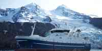 

Blå og hvis fiskebåt foran øy med snøkledde fjell og en isbre.