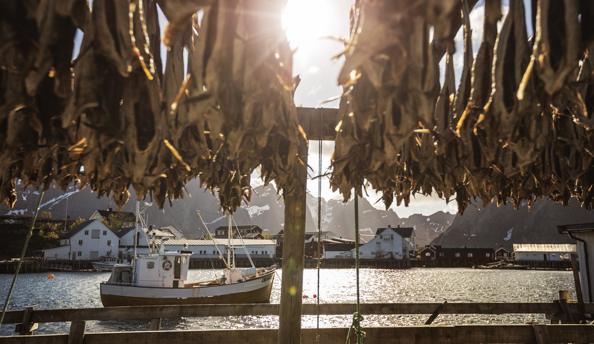 fishing boat, stockfish and a small arctic village