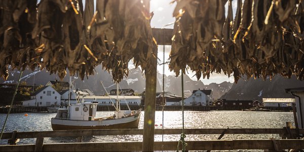 

Fiskebåt på sjø med tørrfiskhjeller foran